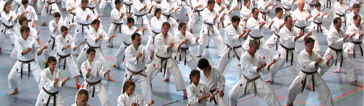 TG Schweinfurt Karate Lehrgang