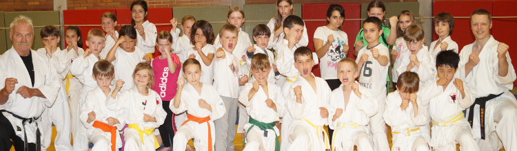 tg schweinfurt karate kinder