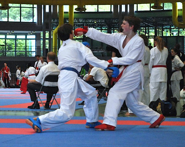 nekocup tg schweinfurt karate 2013004 batch